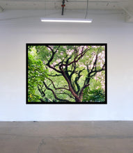 Load image into Gallery viewer, Green Network | Affordable Art

